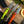 Load image into Gallery viewer, Citrus Edition | Eddy 2