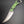Load image into Gallery viewer, "Scary Sharp" Raptor V2
