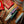 Load image into Gallery viewer, 250th Edition Eddy 2
