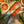 Load image into Gallery viewer, Citrus Edition | Kliff
