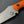 Load image into Gallery viewer, Citrus Edition | Kliff

