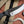 Load image into Gallery viewer, Signature Series | Satin Raptor
