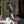 Load image into Gallery viewer, Signature Series | Satin Raptor
