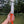 Load image into Gallery viewer, Eddy 3 | Outdoor Companion

