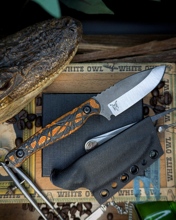 Gila Monster | Eddy 2